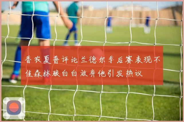香农夏普评论兰德尔季后赛表现不佳森林狼白白放弃他引发热议