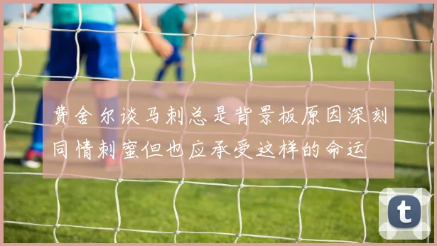 费舍尔谈马刺总是背景板原因深刻同情刺蜜但也应承受这样的命运
