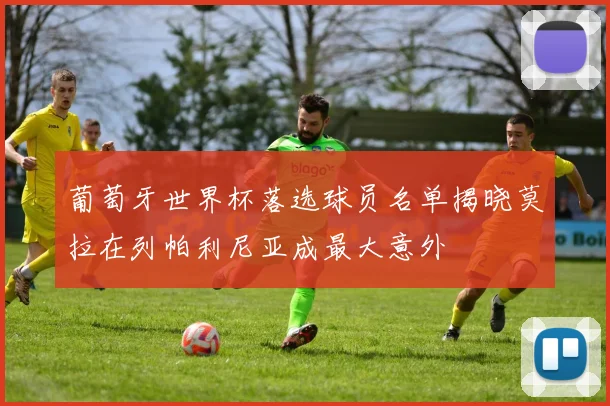 葡萄牙世界杯落选球员名单揭晓莫拉在列帕利尼亚成最大意外